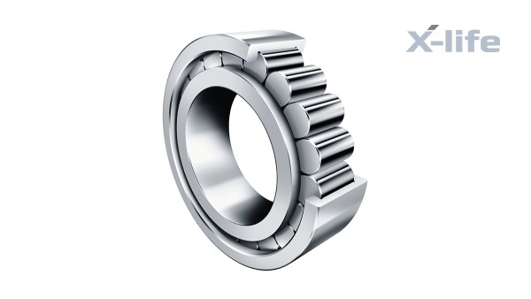 Schaeffler rulningslejer og glidelejer: Fuldradede cylindriske rullelejer