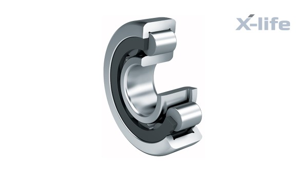 Schaeffler rulningslejer og glidelejer: Cylindriske rullelejer med rulleholder